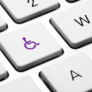 Accessibility Standards